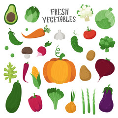 Set of vegetables in cartoon style