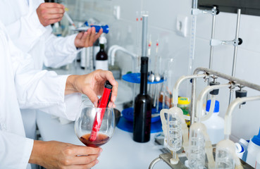 Fototapeta premium Wine being checked on component saturation in laboratory
