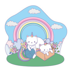 Unicorn cats cartoons vector design