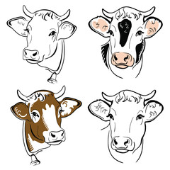 cow head portrait, set of stylized vector symbols on white background, Farm animal