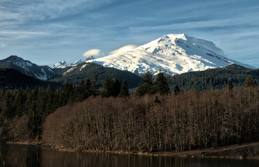 Early Winter Afternoon