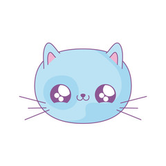 head of cute cat baby animal kawaii style