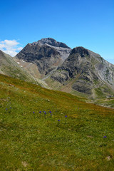 Fototapeta premium Pirineo de Huesca - Acher - Selva de Oza.
