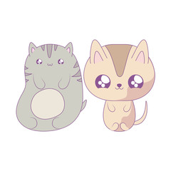 group of cute cats baby animals kawaii style