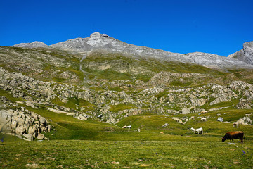 Pirineo de Huesca - Acher - Selva de Oza.