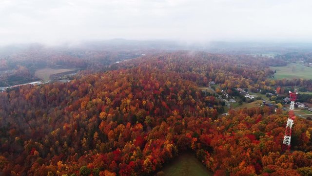 Aerial, autumn forest in Corbin