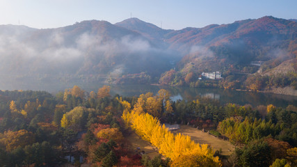  Autumn of Nami island,Seoul Korea