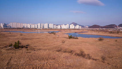 Sorae Ecology Wetland Park,incheon,South Korea.