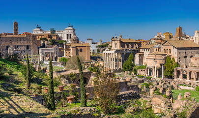 Fototapeta na wymiar Ancient Forum Vesta Temple Regia Capitoline Hill Rome Italy