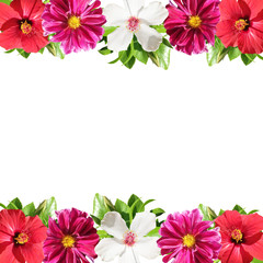 Beautiful floral background of hibiscus and dahlia. Isolated 