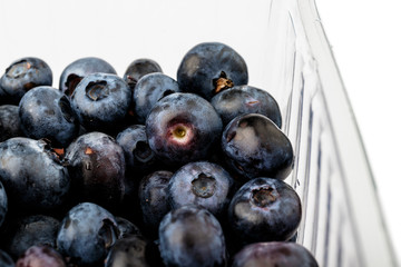 Bilberry