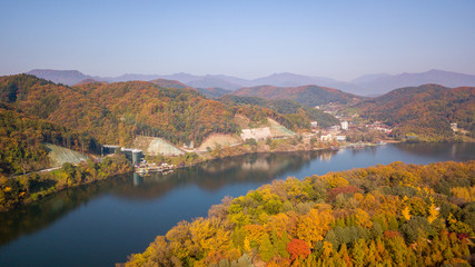Obraz premium Autumn of Nami island,Seoul Korea