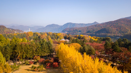  Autumn of Nami island,Seoul Korea