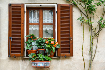 Close-up of an old window with wooden shutters, lace curtains and potted plants of orange Begonia in bloom on the windowsill, Bossolasco, Langhe, Cuneo, Piedmont, Italy