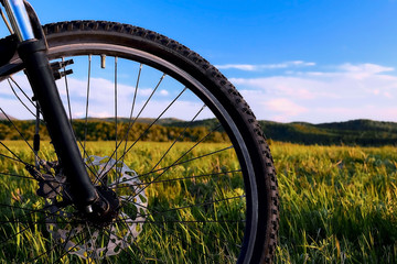 Fototapeta na wymiar Close-up of a bicycle wheel in a summer meadow against the sky and mountains