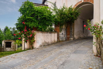 Fototapeta na wymiar View of the medieval village of Bossolasco in the Langhe area with old stone buildings and a narrow alley with the typical rose plants from which derive the name 