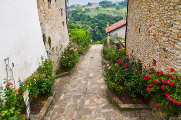 High angle view of a narrow alley in the medieval village of Bossolasco in the Langhe area of Piedmont with the typical stone buildings and rose plants in bloom in summer, Cuneo, Italy