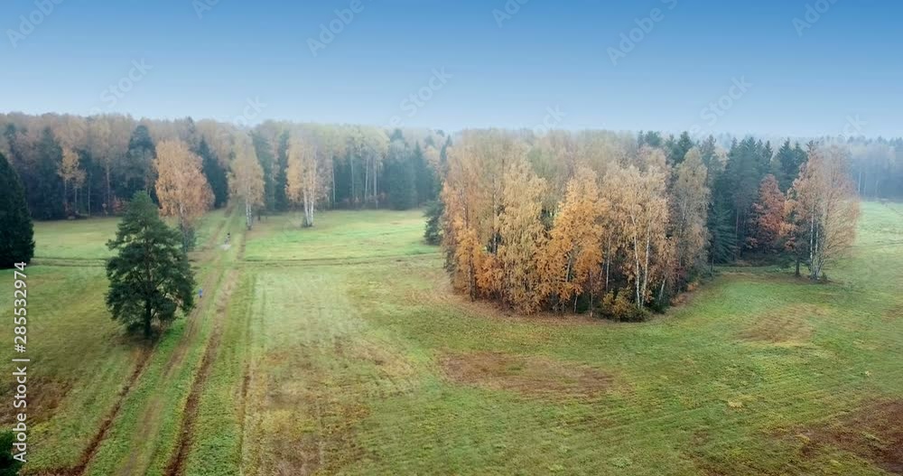 Wall mural aerial view of autumn forest. fall landscape with red, yellow and green trees and fields with a mowe