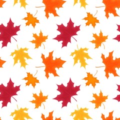 Seamless pattern of colorful maple leaves on editable white background. Perfect for wallpaper, wrapping, textile, fabric design