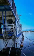 Fototapete bei efototapeten.de bestellen   