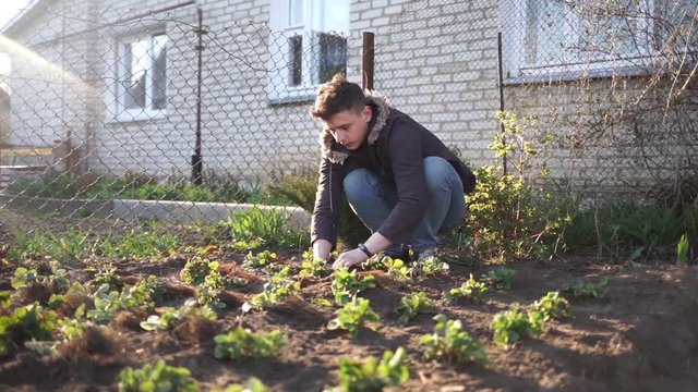 A young farmer plants in the ground. A man ennobles his garden. A man planting strawberries in the ground. Organic farming. Croft.