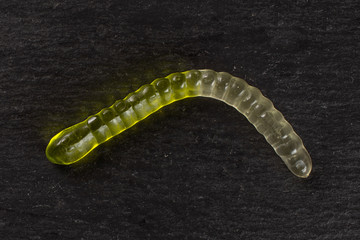 One whole green white colourful jelly worm candy flatlay on grey stone