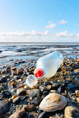Plastic bottle with red bottle cap on a stony beach with shells at low tide. Concept of plastic pollution of the sea and marine life. Beat Plastic Pollution. Blue sky with clouds and copy space.