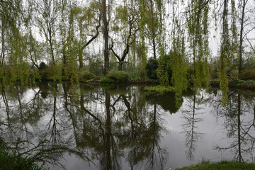 Obraz premium Landscape of reflection in Giverny, France