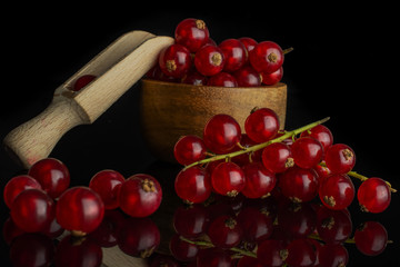 Lot of whole fresh red currant with wooden scoop in bamboo bowl isolated on black glass