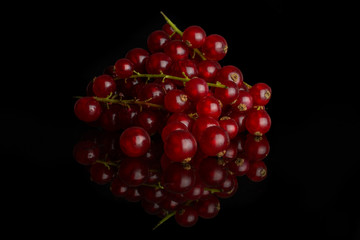 Lot of whole fresh red currant cluster isolated on black glass