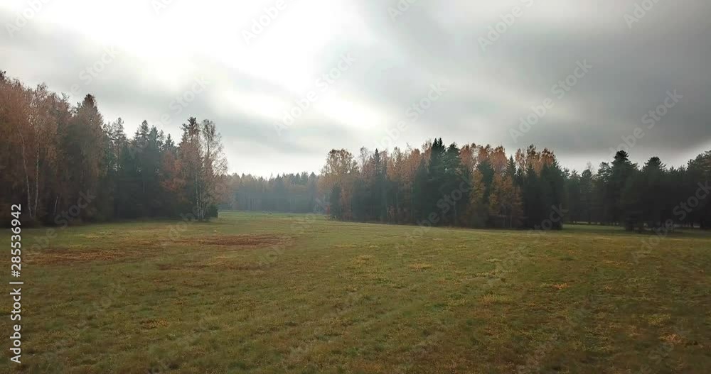 Wall mural aerial view of autumn forest. fall landscape with red, yellow and green trees and fields with a mowe