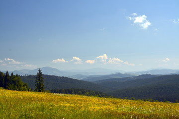 landscape on Calimani mountains in summer