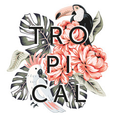 Tropical design with parrot, toucan bird, rose flowers, monstera palm leaves, text, white background. T shirt, card, poster template. Vector illustration. Summer beach print. Paradise nature © ojardin