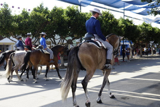 horse carriage concurso de enganches de carruajes de coches de caballos feria de malaga 2019