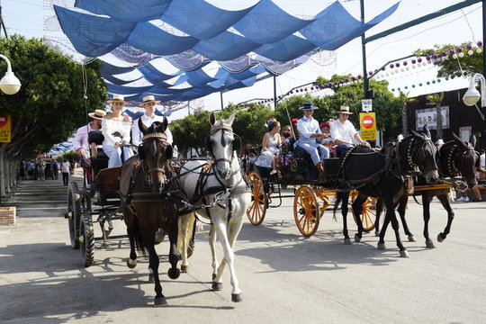 horse carriage concurso de enganches de carruajes de coches de caballos feria de malaga 2019