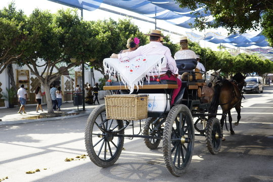 horse carriage concurso de enganches de carruajes de coches de caballos feria de malaga 2019