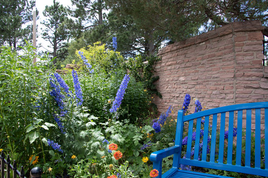 Flowers in the Garden