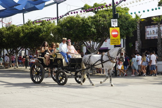 horse carriage concurso de enganches de carruajes de coches de caballos feria de malaga 2019