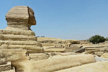 Profile view of the Great Sphinx of Giza, is a mythical creature with the head of a human and the...