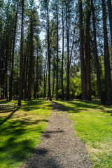 Fototapeta na wymiar Footpath in Catherine Creek State Park in eastern Oregon