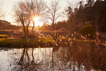 autumn in the park