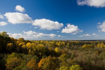 Fototapeta premium colours of autumn