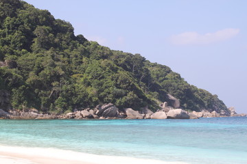 Fototapeta premium Environment of tropical country, Thailand