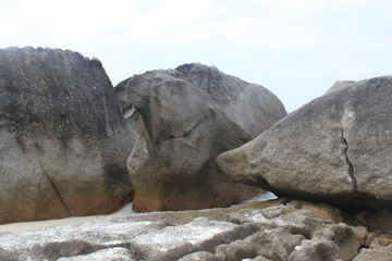 Environment of tropical country, Thailand