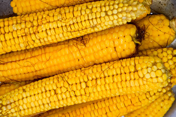 Boiled corn on an aluminum tray. Corn near. Closeup of corn. Yellow boiled young corn, useful and tasty food.