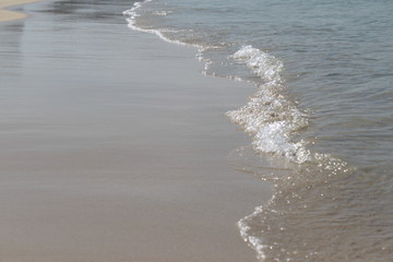 Environment of tropical country, Thailand