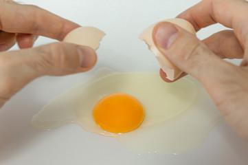 hands with eggs