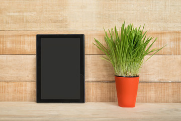 Tablet with a blank screen. Place for text. Green houseplant. Workspace