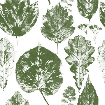 Many leaves stamps scattered on white background. Natural autumn, fall pattern..