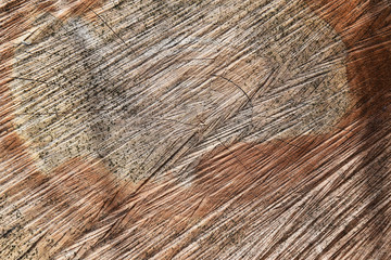 The sawn tree and its year rings